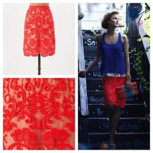 Anthropologie Baraschi Pink Lace Skirt - Sz 4